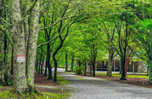 Faith Family Farmhouse on Farm in Mentone, Alabama - Foto 8