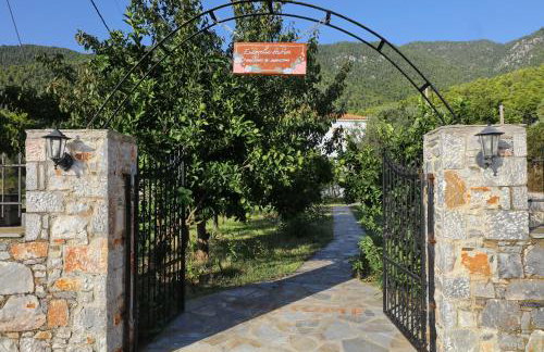 Evaggelia Studios - Foto 14