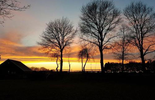 Ferienhaus Albers - Foto 1