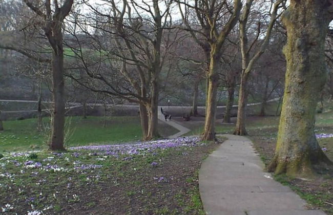 5star City Homes - Close to City Center, Free Wifi - Photo 29