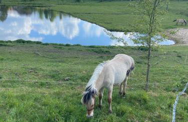 Jeleńczówka Alte Dorfschule - Foto 45