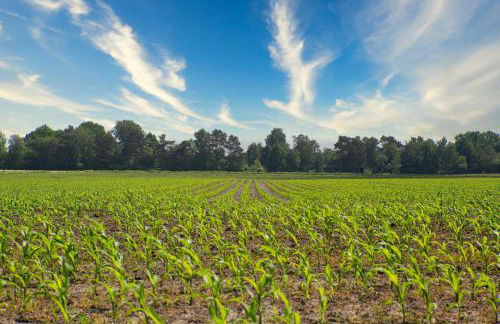 Bauernhofurlaub bei Familie Bokeloh - Foto 67