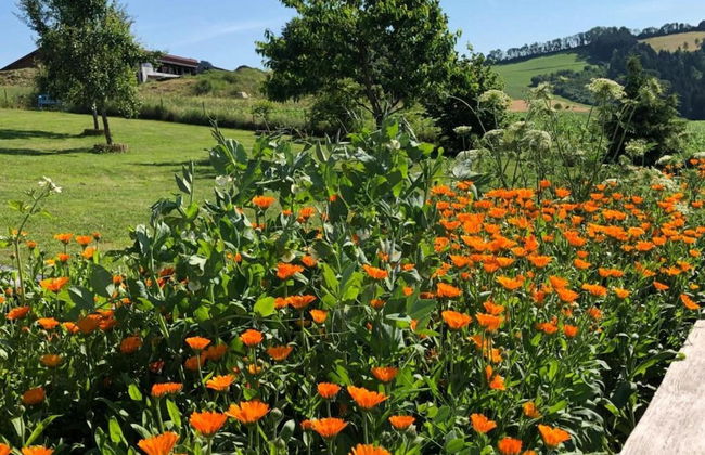 Detached Chalet with Terrace near Swimming Lake - Foto 28