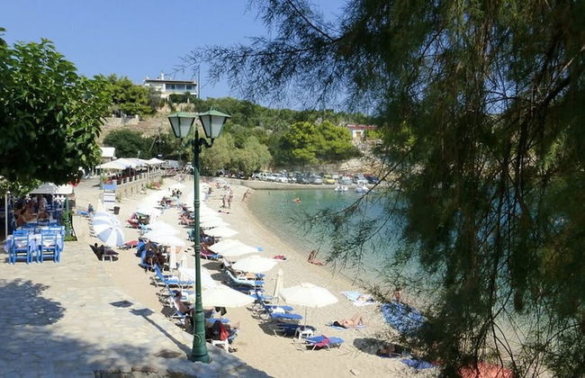 Dina s Flowers - Alonnisos Summer Gem - Foto 2