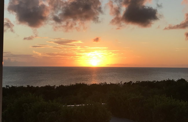 Buttonwood Reserve 2D - Photo 34