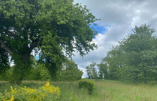 Spacious country house in Normandie - Foto 38