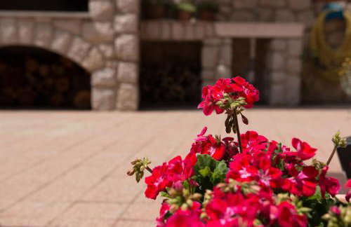 Apartments Eva - Photo 69