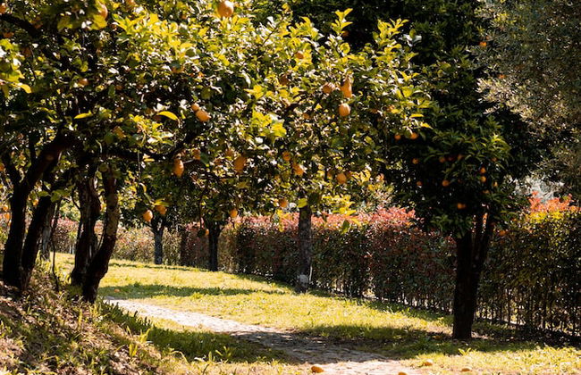 Vinte-Quinta da Boavista - Foto 27