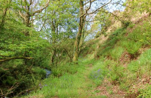 Glyn Yr Efail - Foto 33