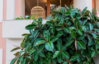 Aristea Hotel Rethymnon - Foto 66