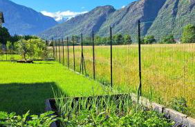 Apartment in Somaggia - CasaCamillo - Foto 13