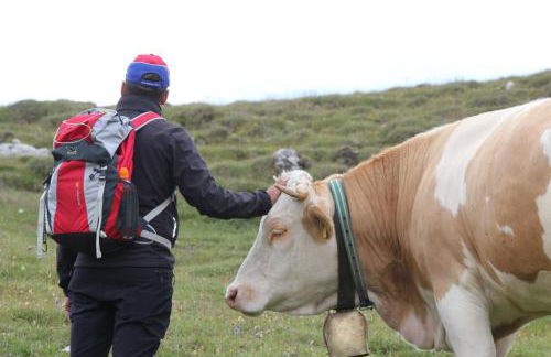 Alpinus Agriturism - Photo 64