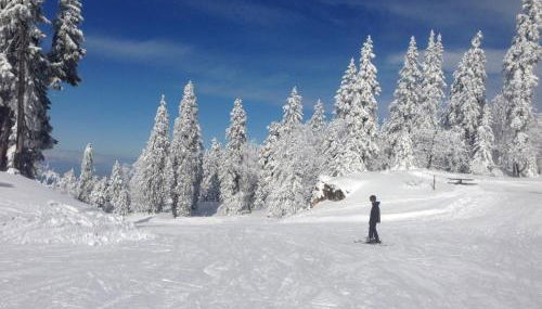 Le Chevreuil - Photo 4