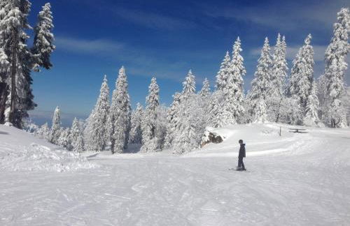 Le Chevreuil - Foto 4
