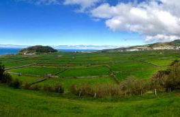 Casa Às Oito - Photo 45