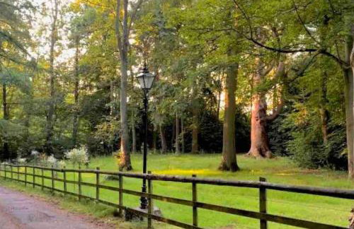 Hayes Suite - Foto 13