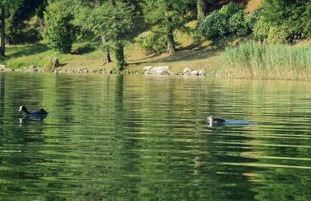 Dimensione Armonica - Elegance and comfort among lakes and hills - Foto 41