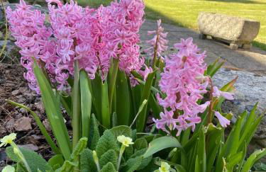 Bedgebury Forest Barn - next to Bedgebury Forest - Foto 21