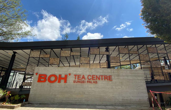 Excursion aux Cameron Highlands - Photo 7