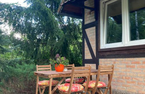 Letnia Oficyna - Foto 6