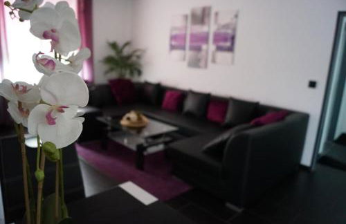 La Domus Superior Osnabrück Lotte - Foto 1