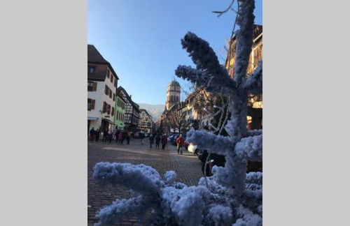 Coeur Alsace - Foto 67