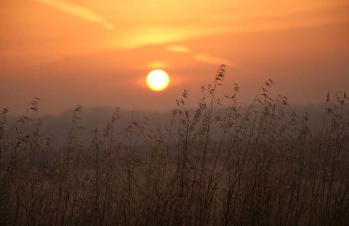 Monte Da Azarujinha - Foto 12