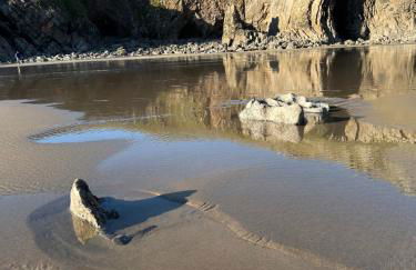 Elm Rise Place - Photo 13