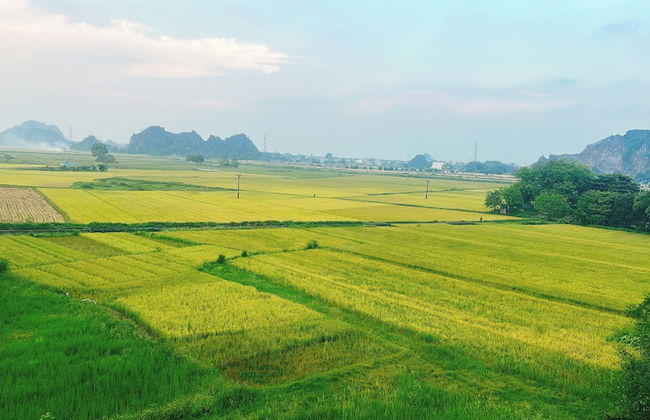 Trang An Ao dai Homestay - Photo 38