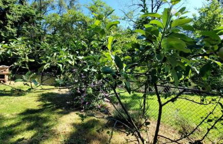 Riverside Home With a Rustic Charm - Foto 14