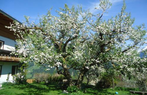 Oberschoellberghof - Photo 12