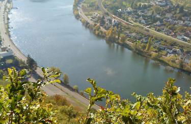 Historische Mühle Vogelsang - Foto 66