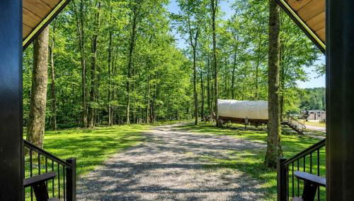 Gorgeous Modern Tiny House on an Incredible Campground for a Unique Getaway near Wellsboro, Pennsylvania - Foto 4