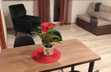 Bieszczadzki Horyzont Apartamenty - Photo 70