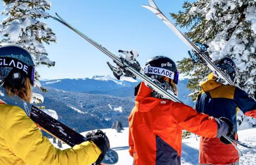 Apartment in French Alps with Wellness Centre - Photo 18