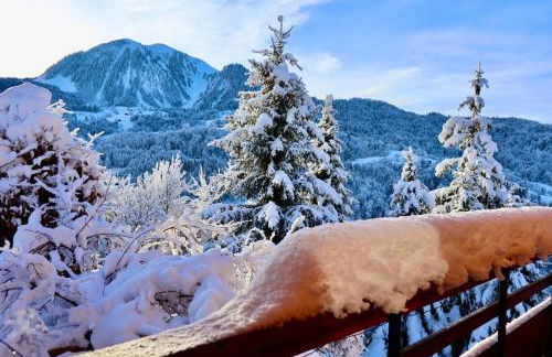Logement 3 étoiles avec vue imprenable sur les montagnes, ski bus - Photo 2