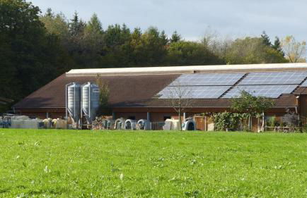 Ferienbauernhof Storchenhäusle - Foto 33