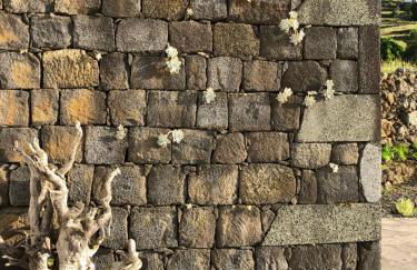 Casa da Arquinha - Photo 67