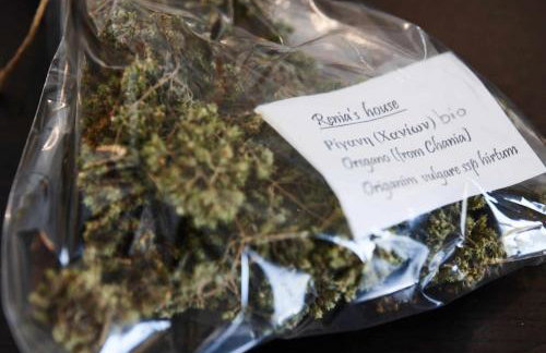 Renia's house - Foto 7