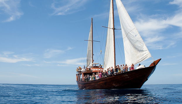 Paseo en barco Shogun - Foto 4