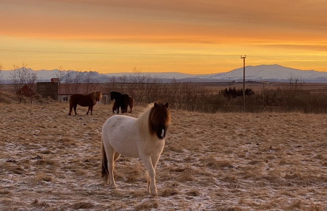 Askot Cottages - Foto 15