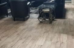 Mufasa's Pride - Foto 14