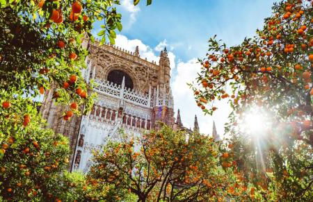 Epicenter Lujoso apto Parking gratis Perfecta ubicación - Foto 23