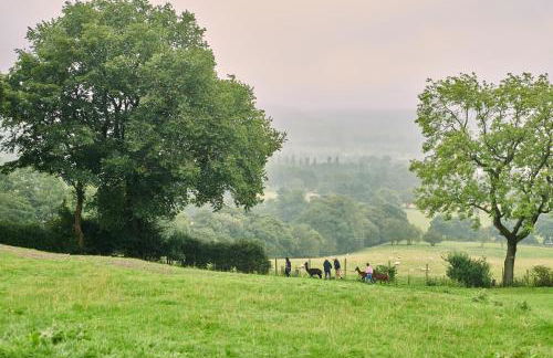 Naze View Barn - Cosy, with all mod cons - Photo 34