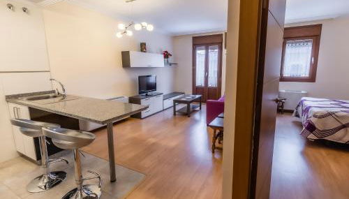 Apartamentos & casas rurales Santo Domingo de Silos - Foto 2