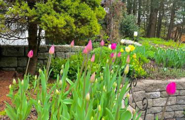 NatureGlow Residence Stylish Contemporary Home - Foto 30