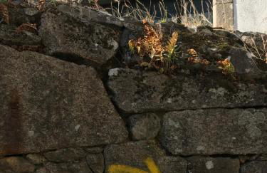 Loft zona histórica Camino De Santiago - Foto 18