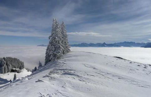 Panek, Haus - Foto 46