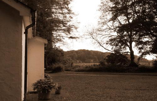 Mr McGregors' Cottage - Photo 5