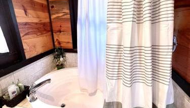 Romantic Ozarks Cabin Rental in Secluded Woodland near Branson, Missouri - Foto 5